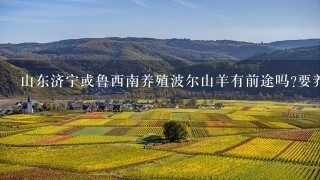 山东济宁或鲁西南养殖波尔山羊有前途吗?要养殖的话该怎么去做。