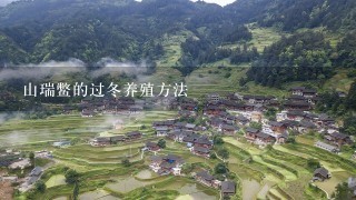 山瑞鳖的过冬养殖方法