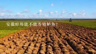 安徽蚌埠能不能养殖鲈鱼？