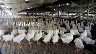 5 印保林探鳖仪？