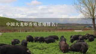 中国大龙虾养殖基地排名？