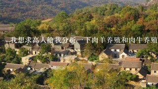 我想求高人给我分析1下肉羊养殖和肉牛养殖的利弊关