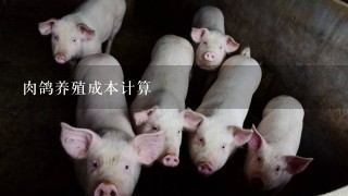 肉鸽养殖成本计算