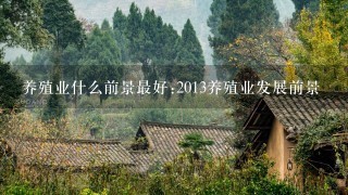 养殖业什么前景最好:2013养殖业发展前景