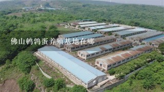 佛山鹌鹑蛋养殖基地在哪