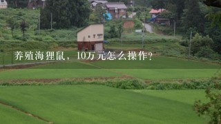 养殖海狸鼠，10万元怎么操作？