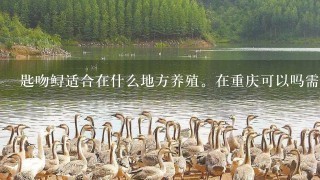 匙吻鲟适合在什么地方养殖。在重庆可以吗需要什么条件