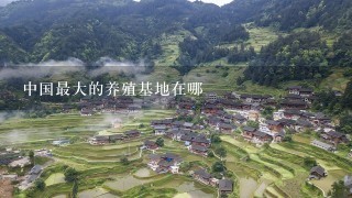 中国最大的养殖基地在哪