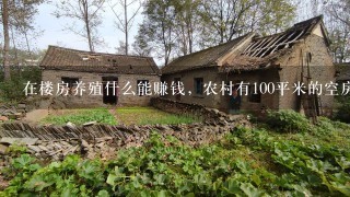 在楼房养殖什么能赚钱，农村有100平米的空房子,养殖点什么可以年赚5万