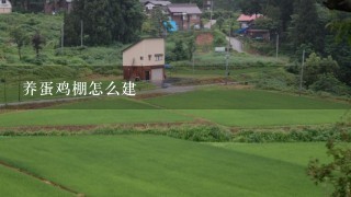 养蛋鸡棚怎么建