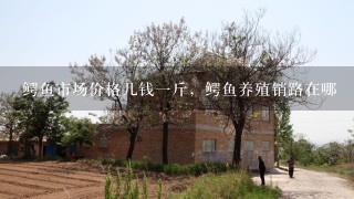 鳄鱼市场价格几钱1斤，鳄鱼养殖销路在哪