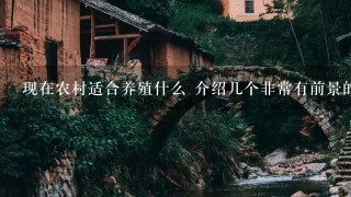 现在农村适合养殖什么 介绍几个非常有前景的