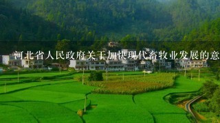 河北省人民政府关于加快现代畜牧业发展的意见的大力