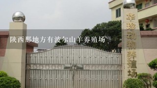 陕西那地方有波尔山羊养殖场