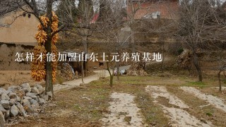 怎样才能加盟山东土元养殖基地