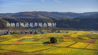 鱼塘养殖还是养殖鱼塘好