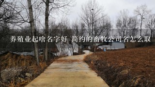 养殖业起啥名字好 简约的畜牧公司名怎么取