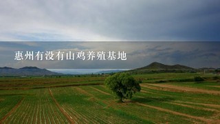 惠州有没有山鸡养殖基地