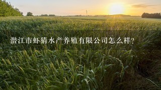 潜江市虾猜水产养殖有限公司怎么样？