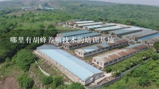 哪里有胡蜂养殖技术的培训基地