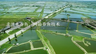 求淡水养鱼、网箱养鱼技术