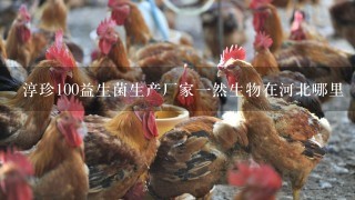 淳珍100益生菌生产厂家1然生物在河北哪里