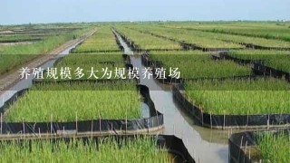 养殖规模多大为规模养殖场