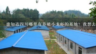 谁知道4川哪里有养殖小龙虾的基地？我想去实地考察1下，本人也想从事养殖业