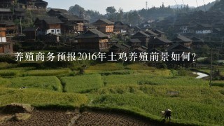 养殖商务预报2016年土鸡养殖前景如何？