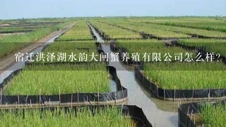 宿迁洪泽湖水韵大闸蟹养殖有限公司怎么样？