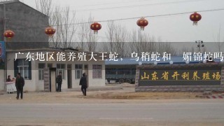 广东地区能养殖大王蛇，乌稍蛇和黒媚锦蛇吗，