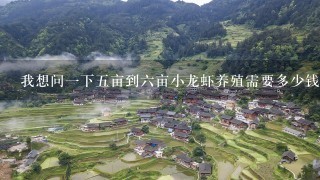 我想问1下5亩到6亩小龙虾养殖需要多少钱