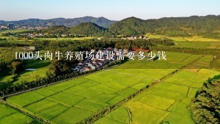 1000头肉牛养殖场建设需要多少钱