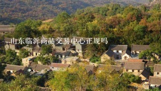 山东临沂商品交易中心正规吗