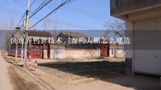 快速养鸭新技术，养鸭大棚怎么建造