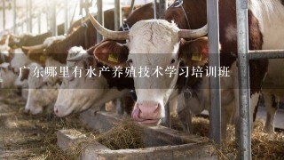 广东哪里有水产养殖技术学习培训班