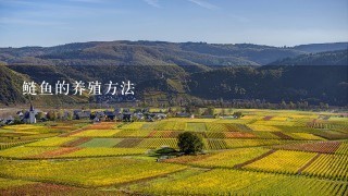 鲢鱼的养殖方法