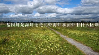 基围虾是海虾还是河虾海虾和河虾有什么区别