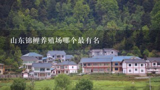 山东锦鲤养殖场哪个最有名