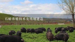 石蛙养殖技术及场地建造