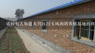 请问有人知道大兴区闫玉凤肉鸽养殖基地的祥细地址吗