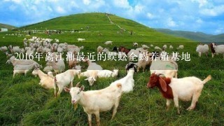 2016年离江油最近的蜈蚣全蝎养殖基地