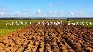 河北廊坊地区可以养殖黑豚吗？养殖黑豚需要什么样的环境