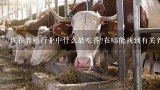 现在养殖行业中什么最吃香?在哪能找到有关养殖或技术人员的合适工作?