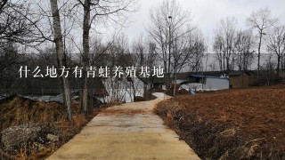 什么地方有青蛙养殖基地