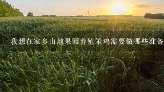 我想在家乡山地果园养殖笨鸡需要做哪些准备