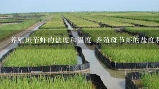 养殖斑节虾的盐度和温度 养殖斑节虾的盐度和温度是