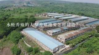 水蛭养殖的大型养殖池要怎样建造？