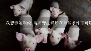 我想养殖蜈蚣.请问野生蜈蚣在自然条件下可以养殖吧?