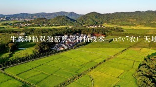 牛粪种植双孢菇蘑菇种植技术 -cctv7农广天地视频 -